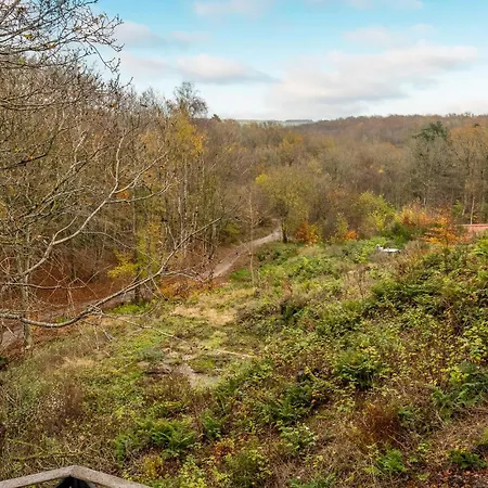 Pet Friendly In With Sauna